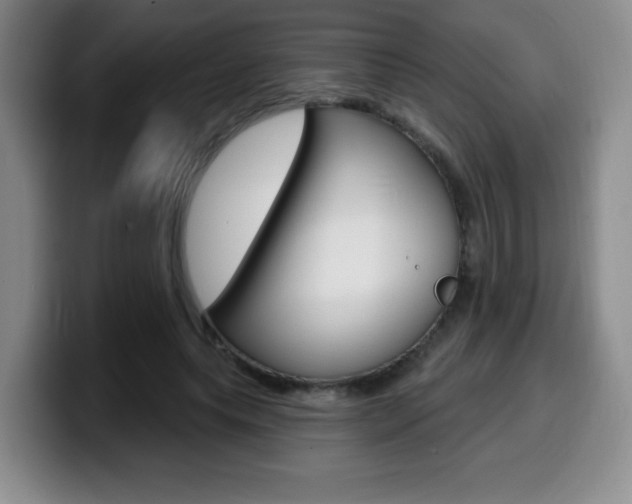 X0000099970639200805231003