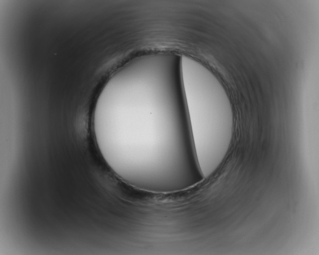 X0000099970640200805231003
