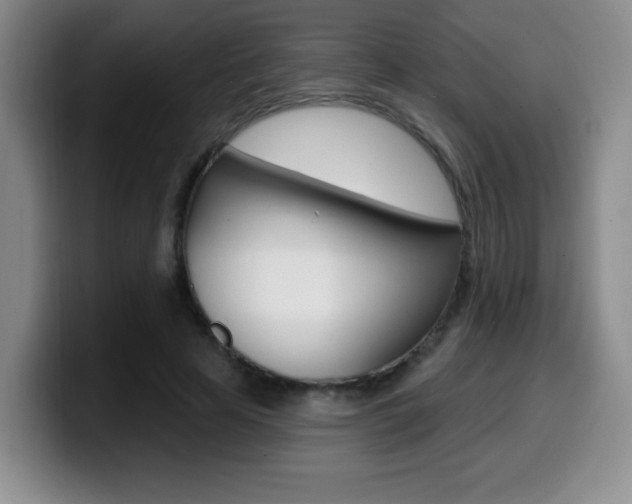 X0000099970641200805231003
