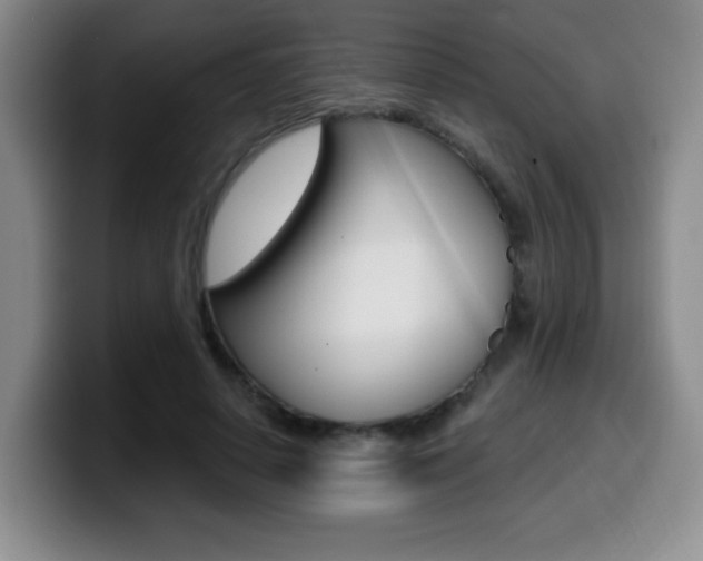 X0000099970642200805231003