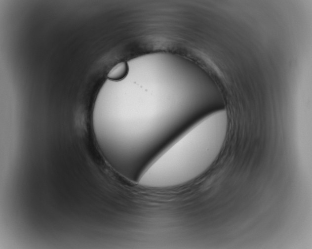 X0000099970643200805231003