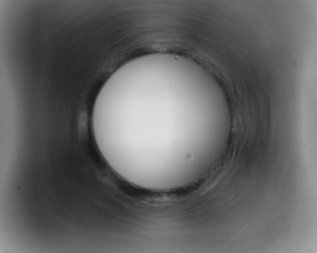 X0000099970646200805231003