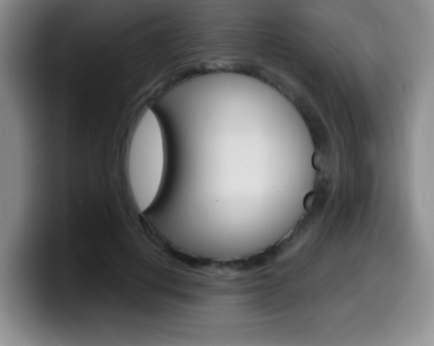 X0000099970648200805231003