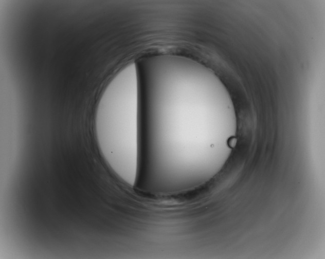 X0000099970650200805231003