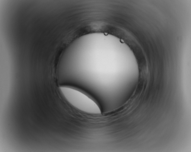 X0000099970651200805231003