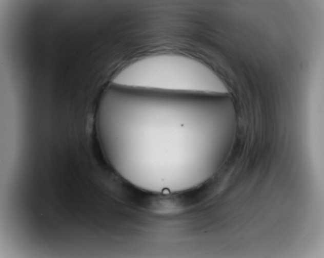 X0000099970652200805231003