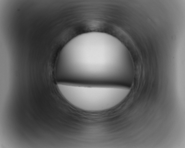 X0000099970653200805231003