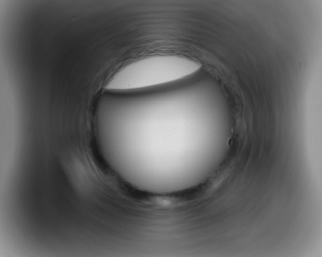 X0000099970654200805231003