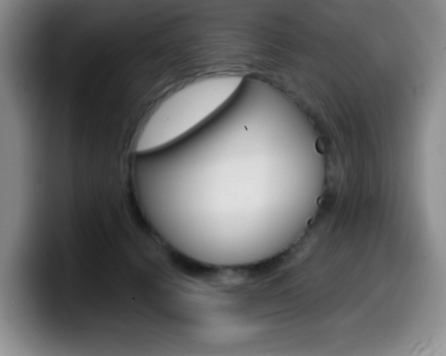 X0000099970656200805231003