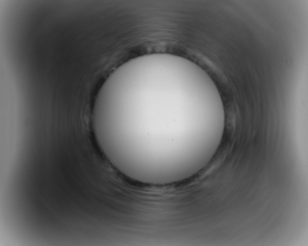 X0000099970661200805231003