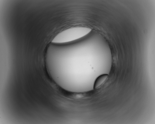 X0000099970662200805231003