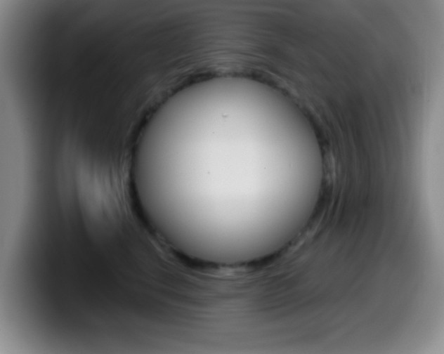 X0000099970664200805231003