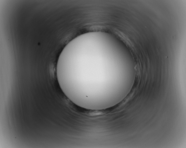 X0000099970669200805231003
