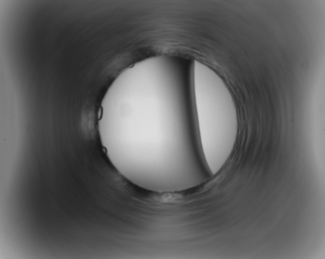 X0000099970670200805231003