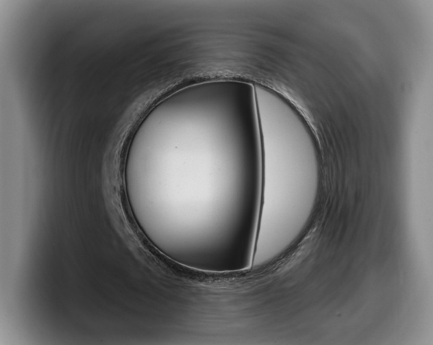 X0000099970673200805231002