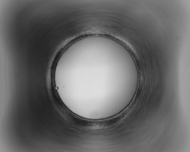 X0000099970678200805231002