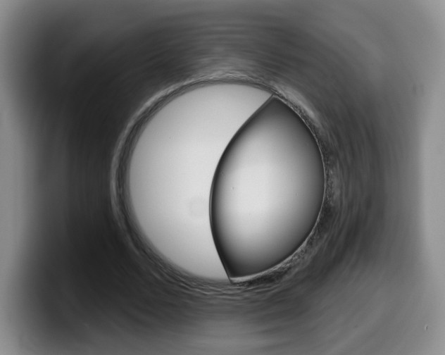 X0000099970680200805231002