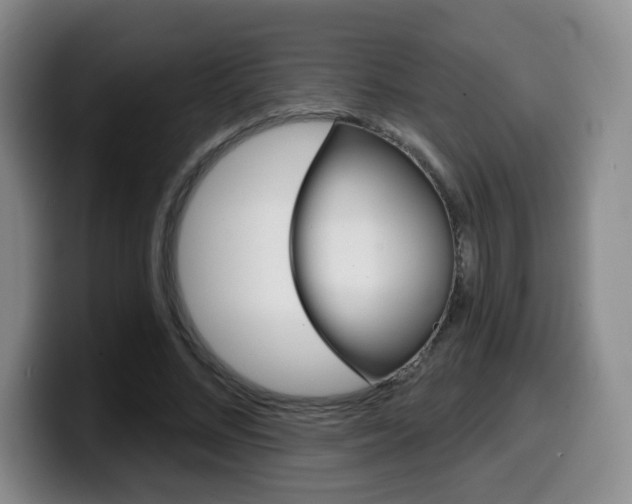 X0000099970684200805231002