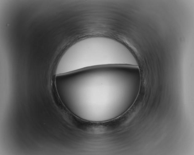X0000099970685200805231002