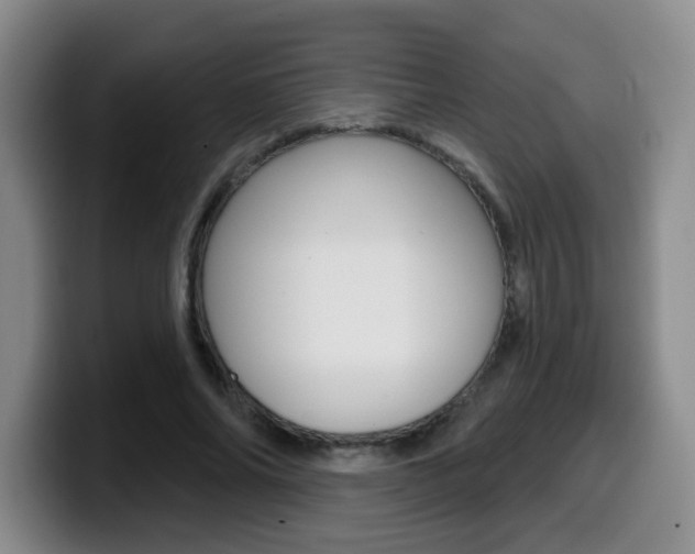 X0000099970686200805231002