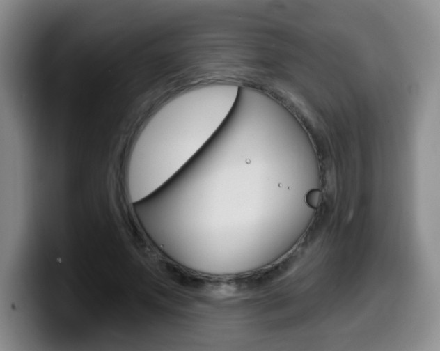 X0000099970687200805231002