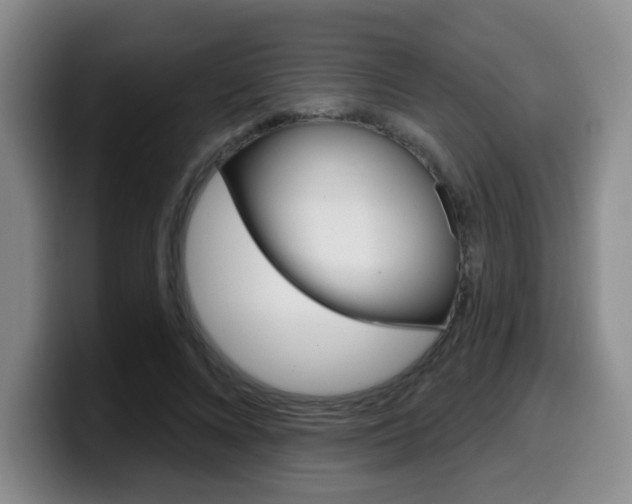X0000099970688200805231002