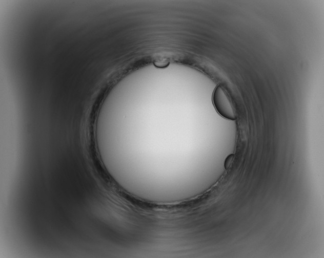 X0000099970690200805231002