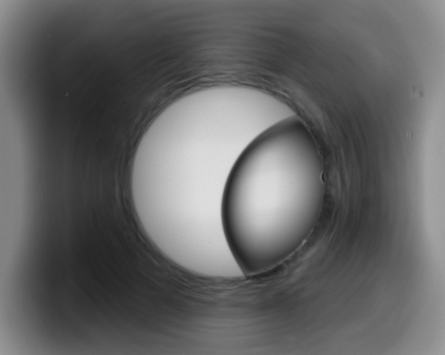 X0000099970697200805231002