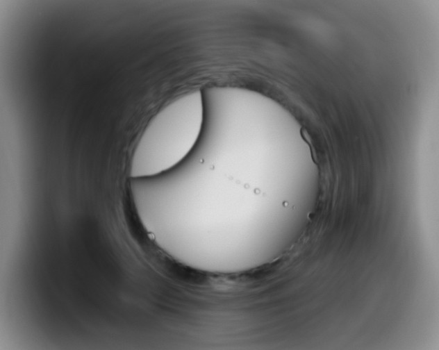 X0000099970703200805231002