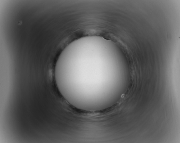 X0000099970716200805231002