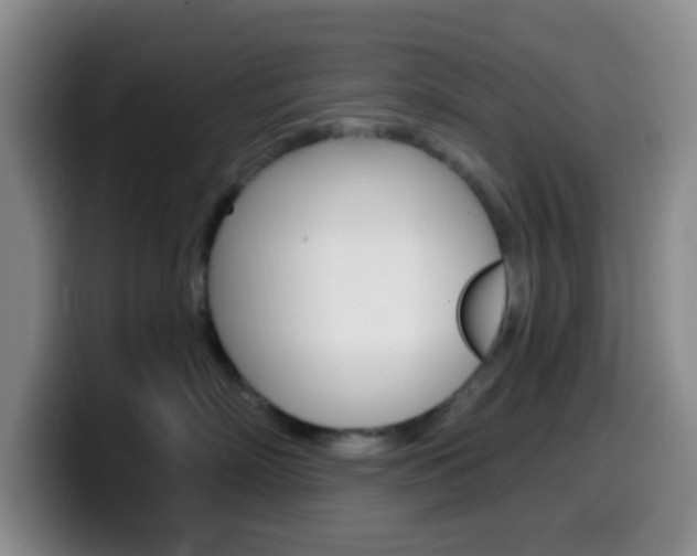 X0000099970718200805231002