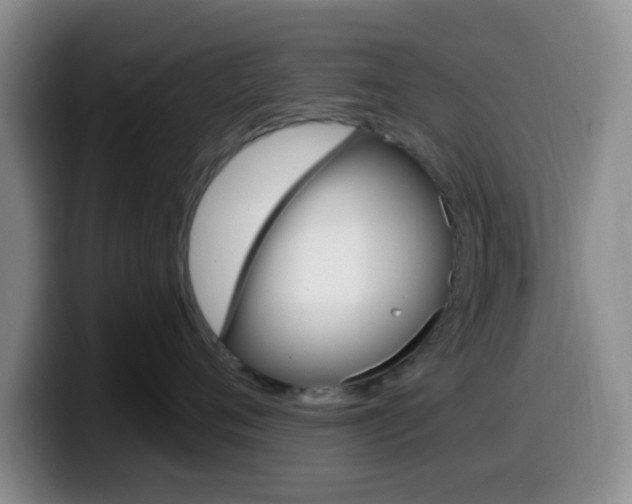 X0000099970720200805231002