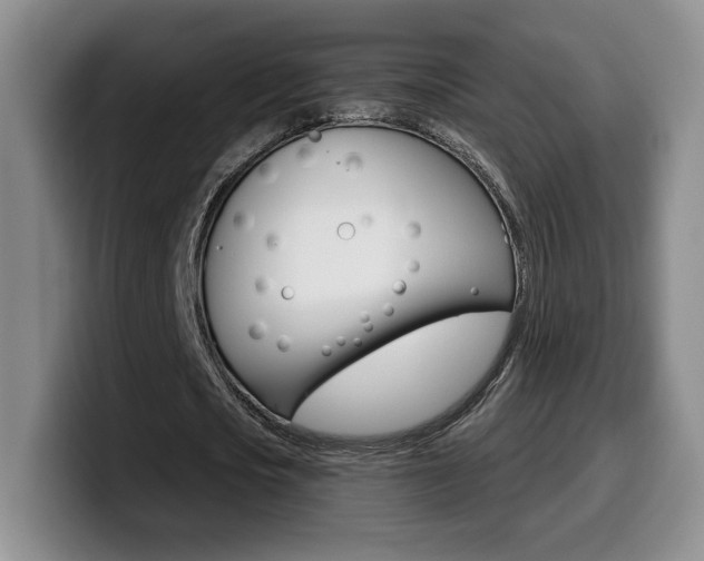 X0000099970721200805231001