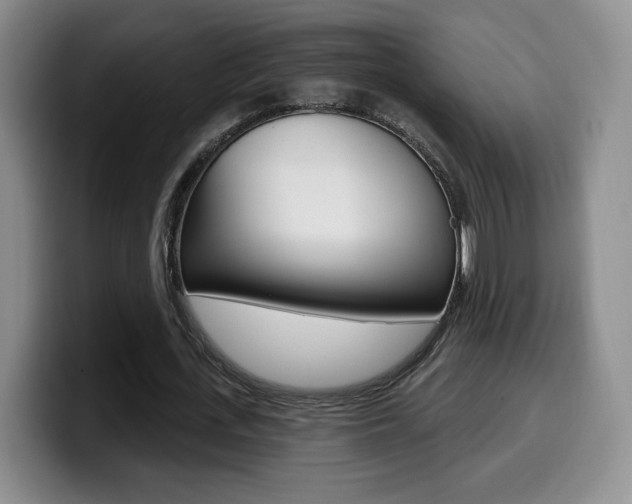 X0000099970723200805231001