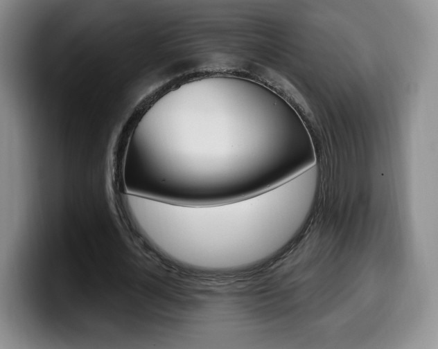 X0000099970724200805231001