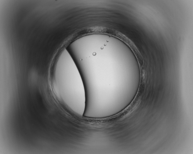 X0000099970725200805231001