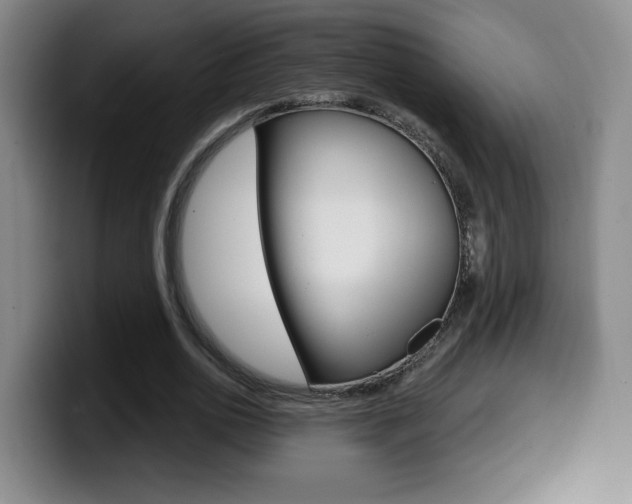 X0000099970726200805231001