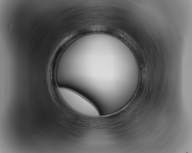 X0000099970727200805231001