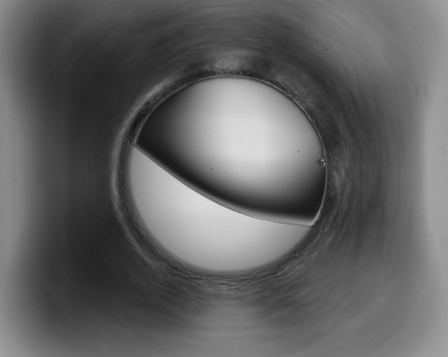 X0000099970728200805231001