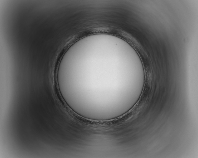 X0000099970729200805231001