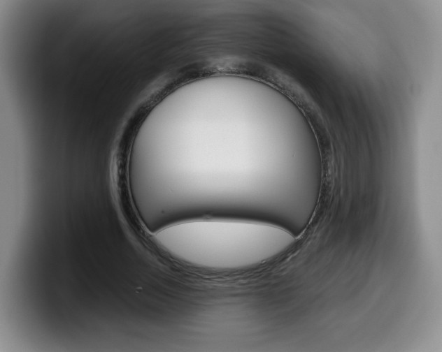 X0000099970730200805231001