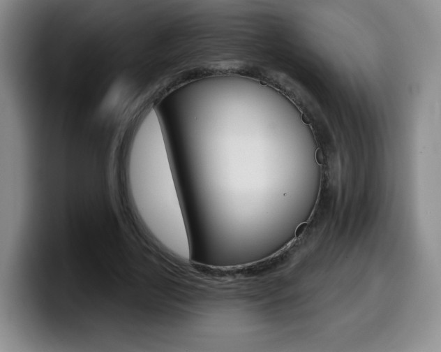 X0000099970731200805231001