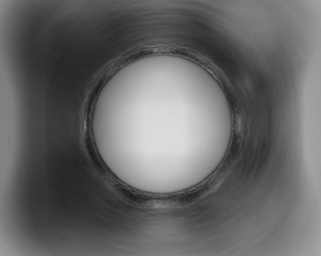 X0000099970733200805231001
