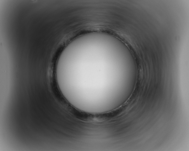 X0000099970739200805231001