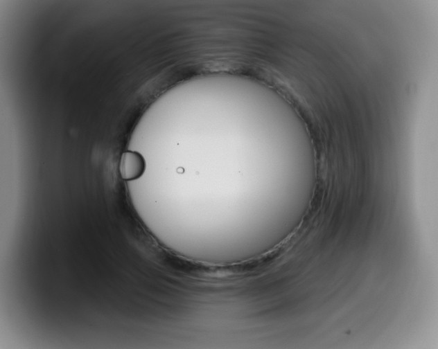 X0000099970741200805231001