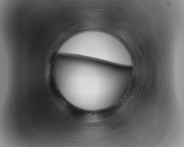 X0000099970742200805231001