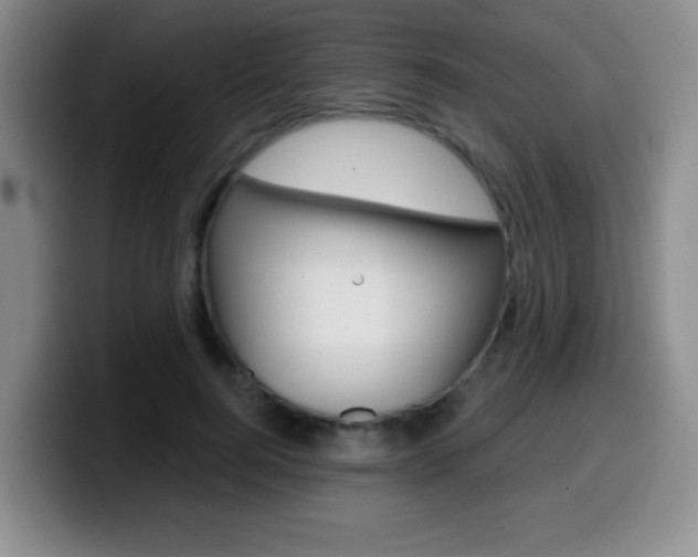 X0000099970744200805231001