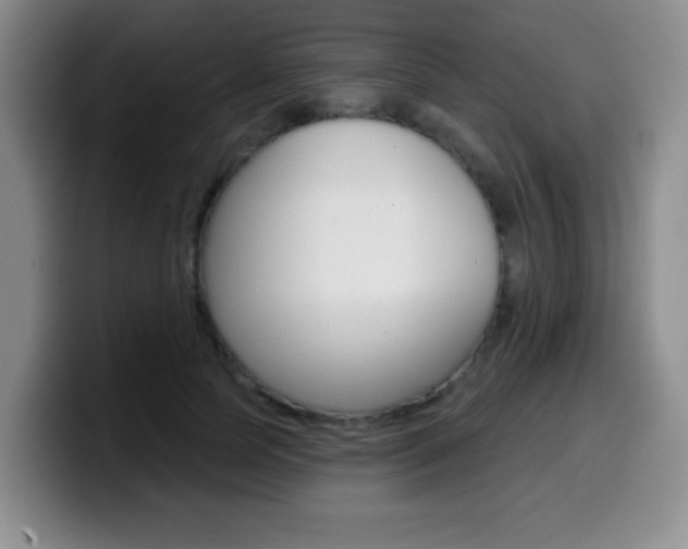 X0000099970745200805231001