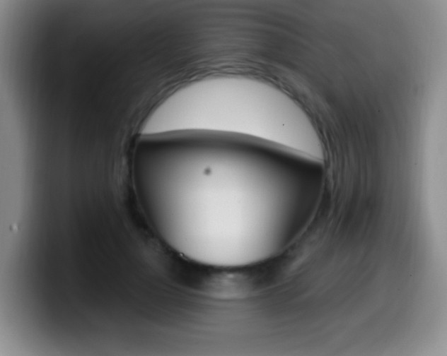 X0000099970748200805231001