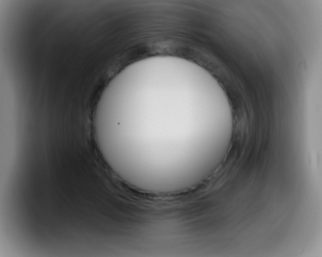 X0000099970749200805231001